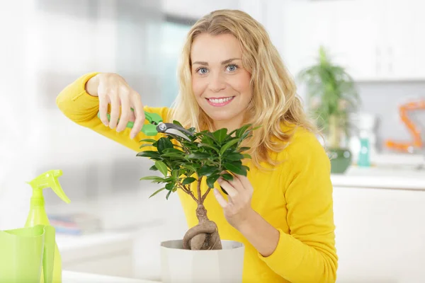 Kvinnlig Arbetare Blomsteraffären — Stockfoto