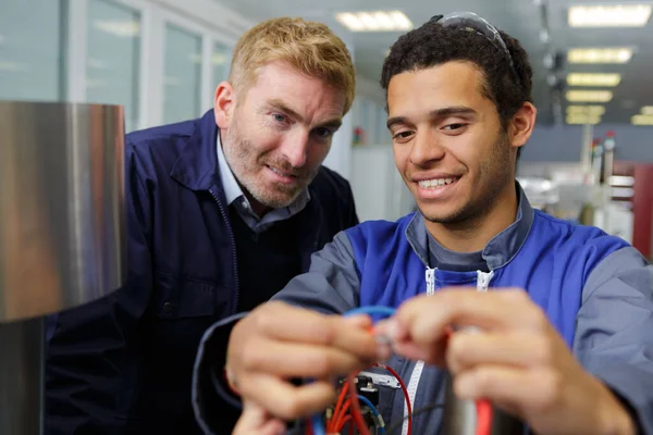 Fabrika Işçisi Yeni Çalışana Kablolarla Nasıl Çalışacağını Öğretiyor — Stok fotoğraf
