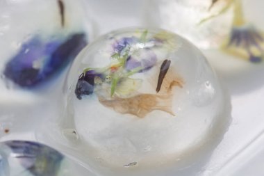 Yenilebilir çiçek içinde - gıda dekorasyon ile jöle