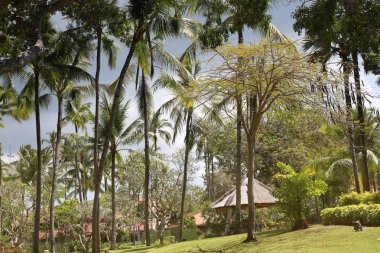 Yağmur mevsimi, yağmurlu bulutlar güzel tropik bahçe içinde