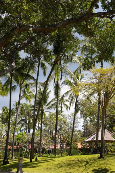 Regenseizoen, regenachtige wolken boven de mooie tropische tuin — Stockfoto