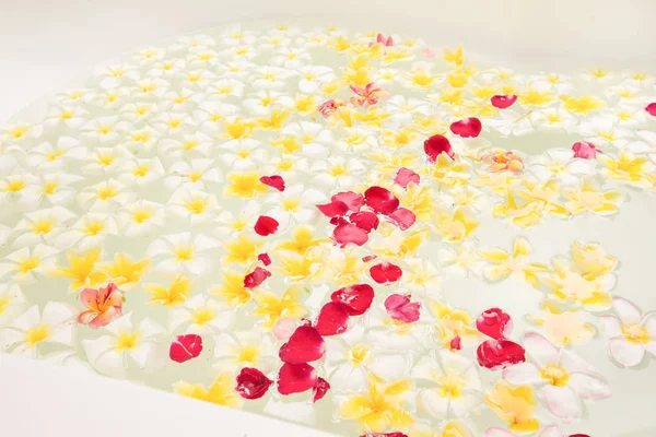 Bain spa plein de fleurs frangipanes pour la détente — Photo