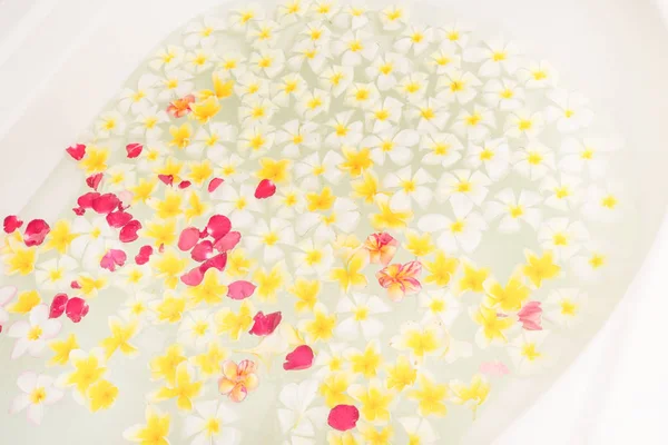 Bagno termale pieno di fiori di frangipani per il relax — Foto Stock