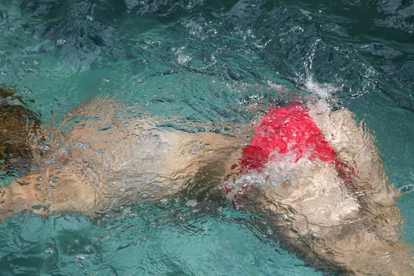 Menina Piscina Fato Banho Vermelho — Fotografia de Stock