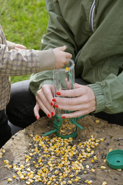 Mother Her Toddler Girl Putting Seeds Birds Bird Feeder Quality — Stock Photo, Image