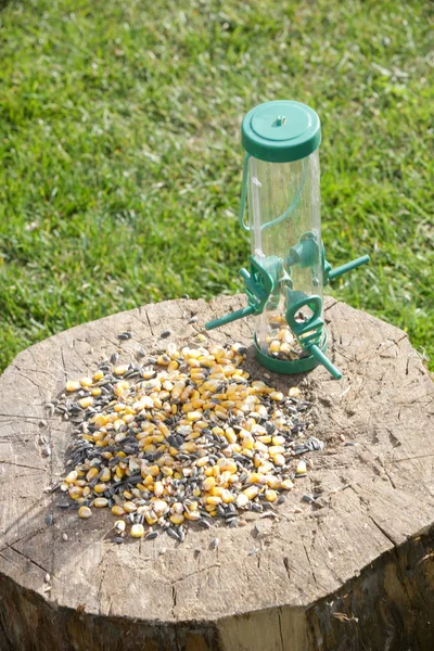 Incoraggiare Gli Uccelli Giardino Con Mangime Uccelli Semi Fornendo Cibo — Foto Stock