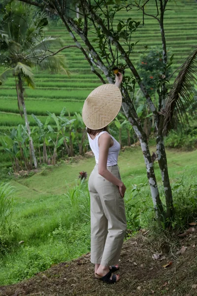 Женщина Бамбуковой Шляпе Террасе Рисового Поля — стоковое фото