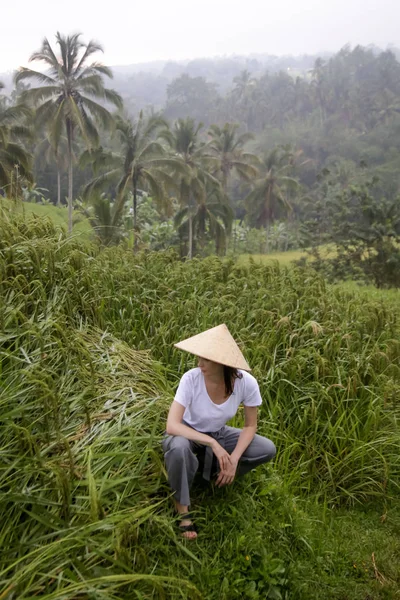 Mulher Usando Chapéu Bambu Traditionl Terraço Campo Arroz — Fotografia de Stock