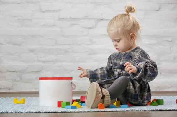 Peuter Meisje Spelen Met Kleurrijke Houten Blokken — Stockfoto