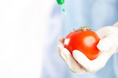 Genetik olarak tasarlanmış gıda konsepti olan kırmızı domatese enjekte edilen iğnenin yakın çekimi.