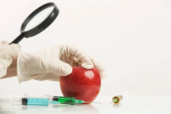 Científico Examinando Una Gran Manzana Roja Concepto Alimentos Genéticamente Modificados — Foto de Stock