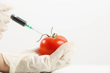 Genetik olarak tasarlanmış gıda konsepti olan kırmızı domatese enjekte edilen iğnenin yakın çekimi.