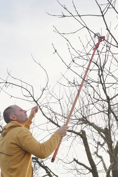 Обрезка деревьев в солнечный зимний день
