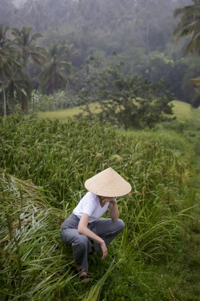 稻田露台上戴传统竹帽的妇女 — 图库照片