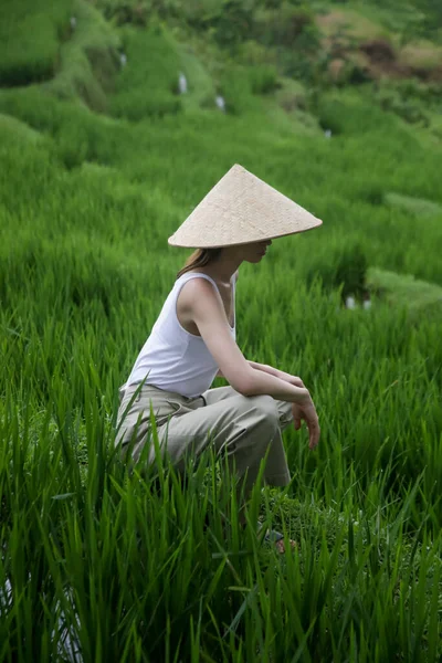 稻田露台上戴传统竹帽的妇女 — 图库照片