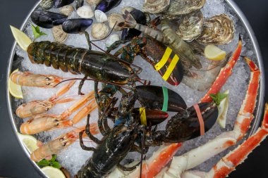 Buzda midye, ıstakoz, yengeç ve karides
