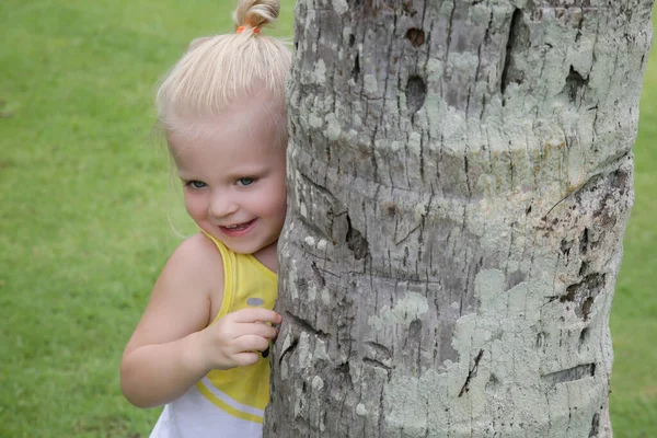 Porträtt Bedårande Småbarn Flicka Leker Kurragömma Parken Gömmer Sig Bakom — Stockfoto