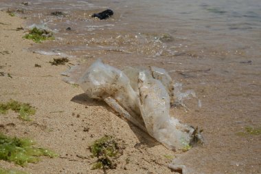 Kumsaldaki plastik çöpler. Plastik kirliliği kavramı. Tek kullanımlık plastik gezegenimizi yok eden ve sularımızı, deniz yaşamlarımızı ve insanlarımızı etkileyen bir insan bağımlılığıdır..
