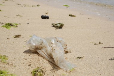Kumsaldaki plastik çöpler. Plastik kirliliği kavramı. Tek kullanımlık plastik gezegenimizi yok eden ve sularımızı, deniz yaşamlarımızı ve insanlarımızı etkileyen bir insan bağımlılığıdır..