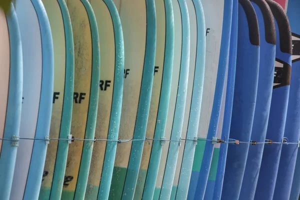 在海滩上出租的分板 Surf营地 — 图库照片