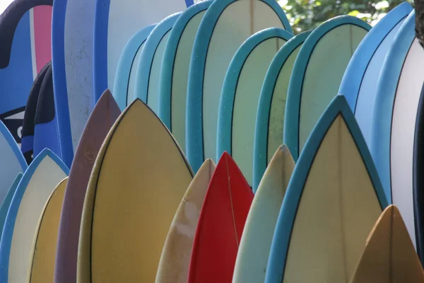 Plajda Kiralık Süsleme Tahtaları Sörf Kampı — Stok fotoğraf