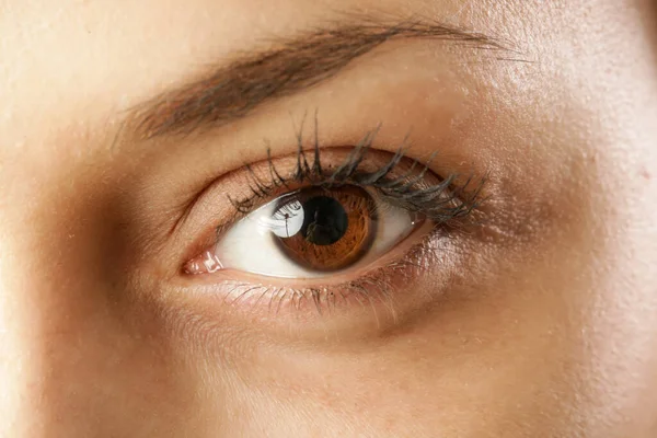 Kahverengi Bir Kadın Gözünün Yakın Görüntüsü Makyaj Yok — Stok fotoğraf