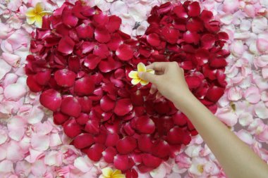 Bir küvet dolusu gül ve frangipani yaprağı, spa hafta sonu, refah, vücut bakımı ve güzellik konsepti.