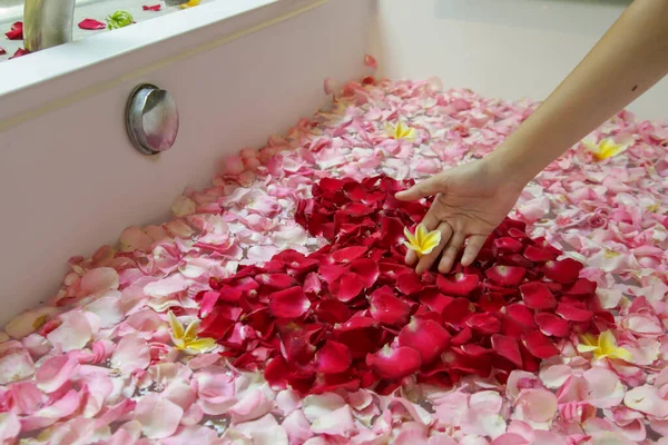 Uma Banheira Cheia Rosas Pétalas Frangipani Fim Semana Spa Bem — Fotografia de Stock