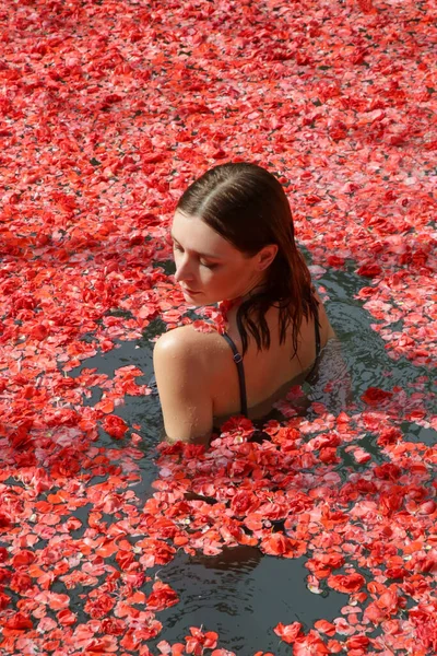 Woman Relaxing Red Rose Flowers Petals Covered Swimming Pool Romantic — Stock Photo, Image