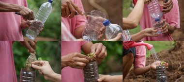 Atık plastikten bitkiler için kendi kendini sulama işlemi. Tek kullanımlık plastik şişe geri dönüşüm fikri. Sıfır atık sürdürülebilir yaşam tarzı kavramı.
