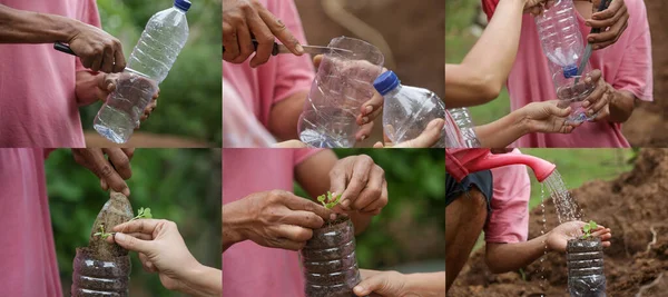 Atık Plastikten Bitkiler Için Kendi Kendini Sulama Işlemi Tek Kullanımlık — Stok fotoğraf