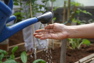 Bahçıvanın bahçedeki sulama tenekesinin altında ellerini yıkamasını yakından izle.