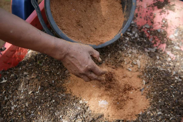 Przygotowanie Mieszanki Glebowej Żyznego Kompostu Humusu Wermikulitu Ogrodzie Wiosenne Prace — Zdjęcie stockowe