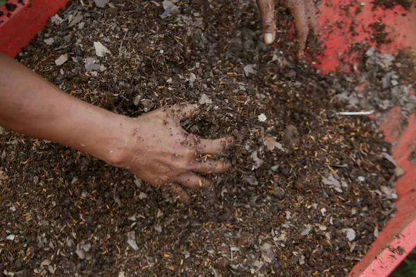 Preparazione Miscela Terriccio Compost Fertile Humus Vermiculite Giardino Lavori Giardinaggio — Foto Stock