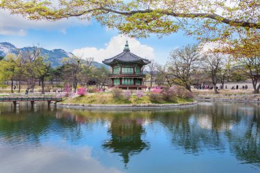 Bahar Gyeongbokgung Sarayı, Seoul, Güney Kore