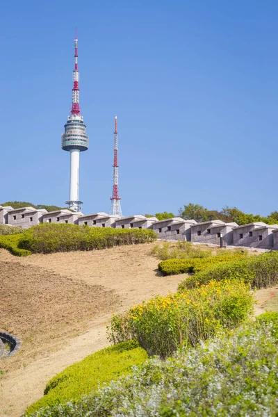 Namsan Park en N Seoul Tower, bloem op de voorgrond uit f — Stockfoto