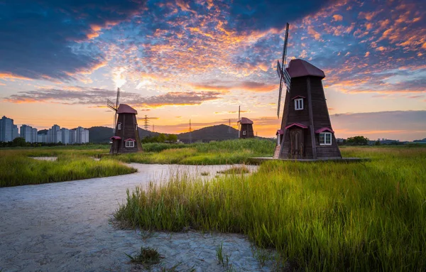 Vackra landskap i söder Korea, Sorae ekologi våtmarkspark — Stockfoto