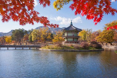 Gyeongbokgung Sarayı Güz, Seoul, Güney Kore.