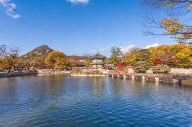 Gyeongbokgung Sarayı Güz, Seoul, Güney Kore.