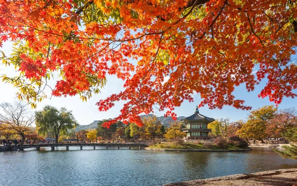 Maple trees with a lake  at gyeongbokgung palace, Seoul, South K — Stock Photo, Image