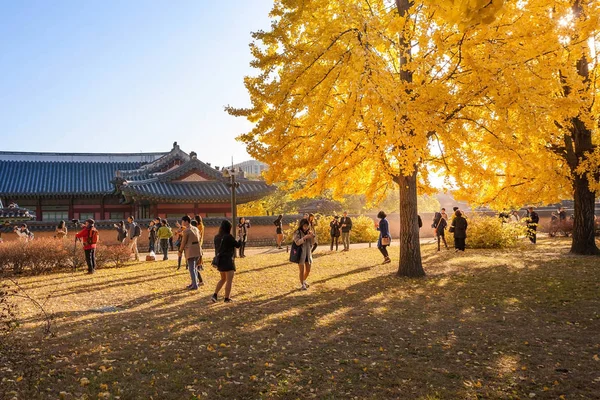 Осенние листья во дворце Кёнбокгун — стоковое фото