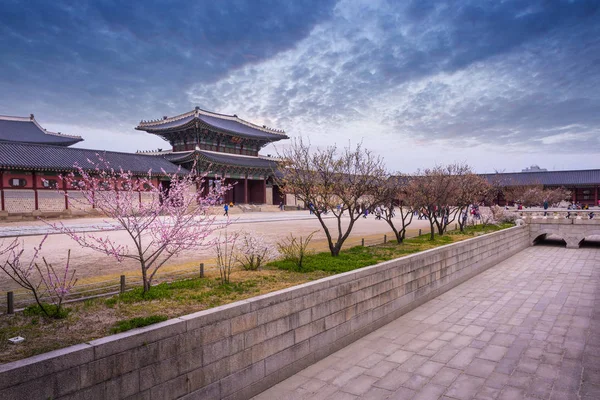 Gyeongbokgung Paleis in het voorjaar, Zuid-Korea. — Stockfoto