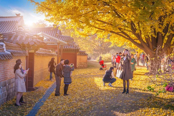 Herfstbladeren in gyeongbokgung paleis — Stockfoto