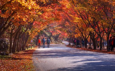 Naejangsan, Kore - 10 Kasım 2014: Naejangsan ulusal park ben