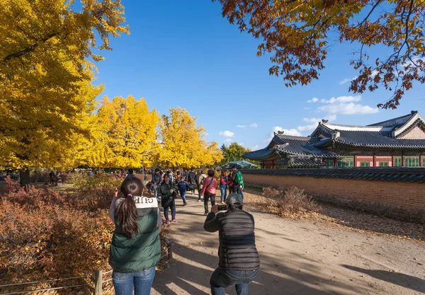 Seoul, Korea - 2 November 2014: Autumn leaves op gyeongbokgung — Stockfoto