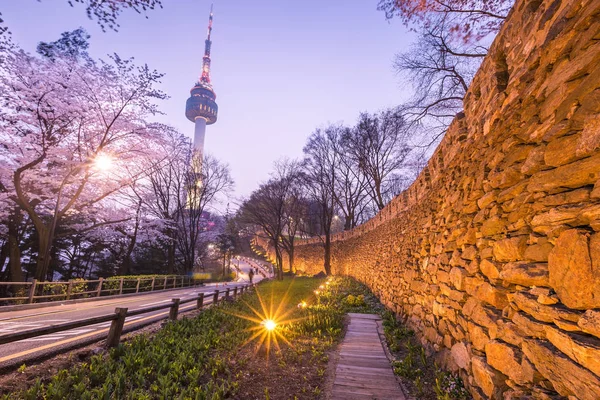 Seoul Tower i Seoul City ved natteutsikt om våren med kirsebærbl – stockfoto