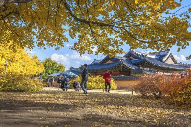 Gyeongbokgung Sarayı ile akçaağaç sonbahar dönüm noktası bırakır, Seoul, Güney Kore