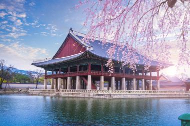 Gyeongbokgung Sarayı Bahar, Güney Kore.