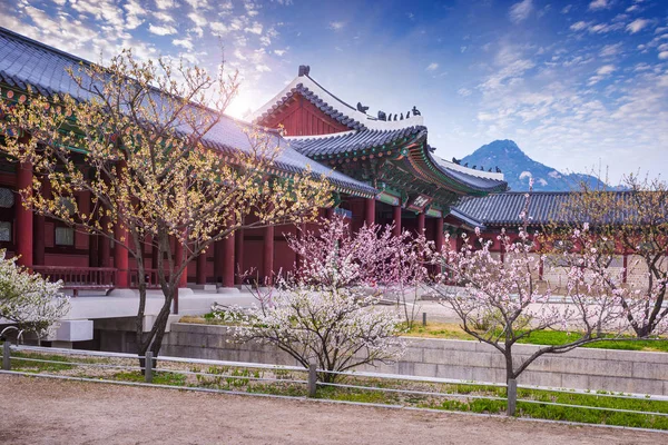 Palacio gyeongbokgung en primavera, Corea del Sur . — Foto de Stock