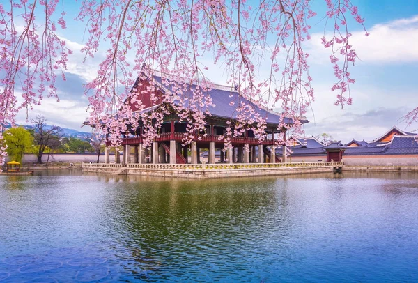 Дворец Кёнбокгун и цветение сакуры весной, Корея . — стоковое фото